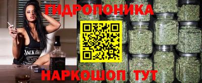 ешки Моздок