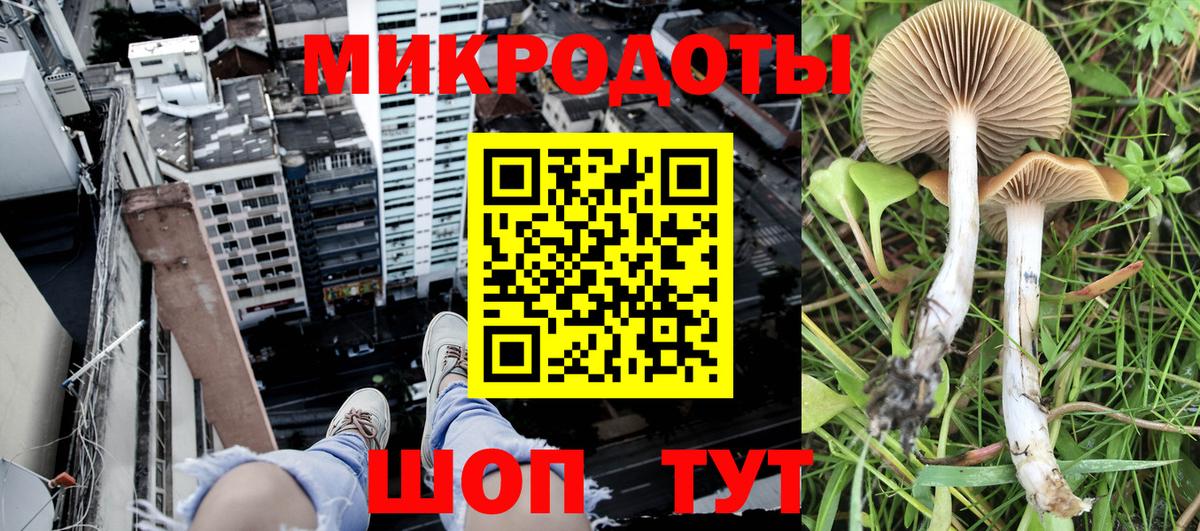 Псилоцибиновые грибы GOLDEN TEACHER Дальнегорск