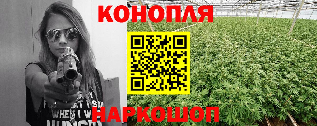 Конопля план Дальнегорск